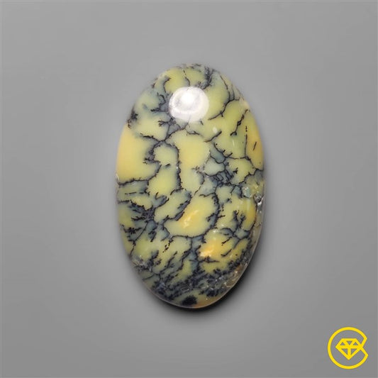 Dendritic Agate