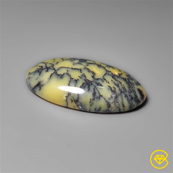 Dendritic Agate