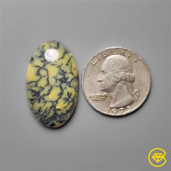 Dendritic Agate