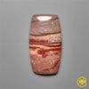 Gila Monster Agate