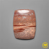 Gila Monster Agate