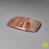 Gila Monster Agate