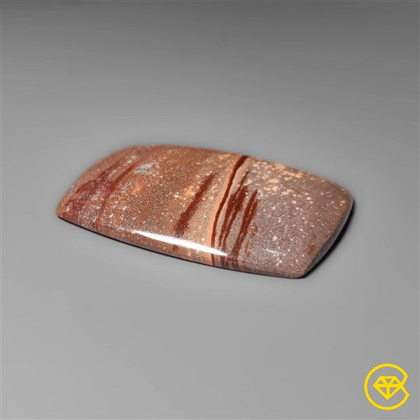 Gila Monster Agate