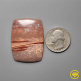 Gila Monster Agate