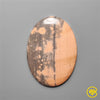 Gila Monster Agate