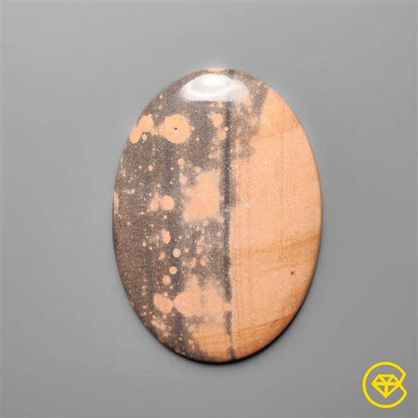 Gila Monster Agate