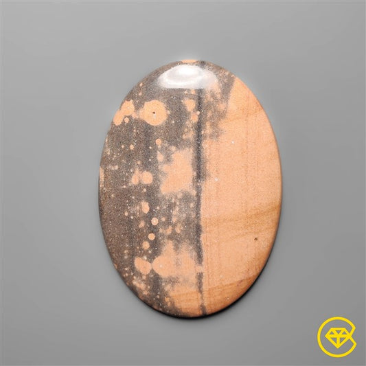 Gila Monster Agate