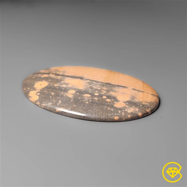 Gila Monster Agate