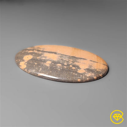 Gila Monster Agate