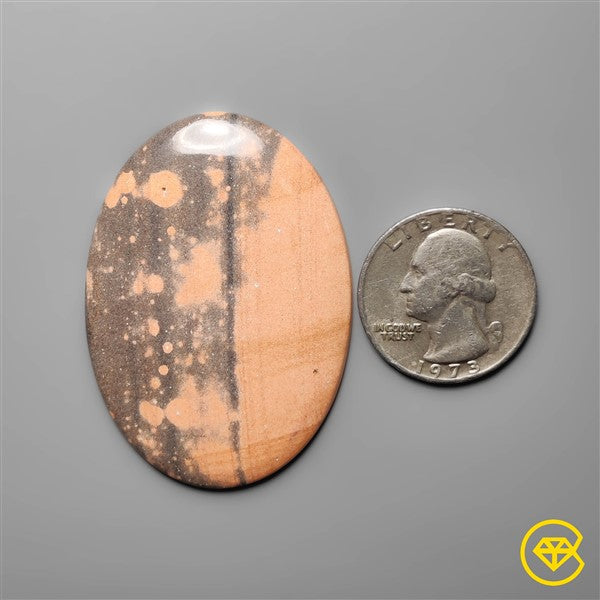 Gila Monster Agate
