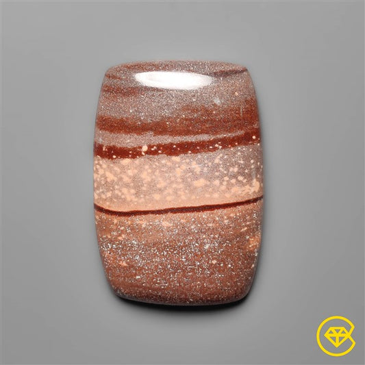Gila Monster Agate