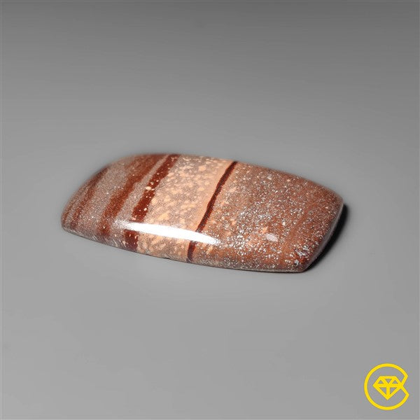 Gila Monster Agate