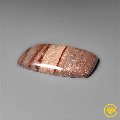 Gila Monster Agate