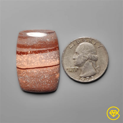 Gila Monster Agate