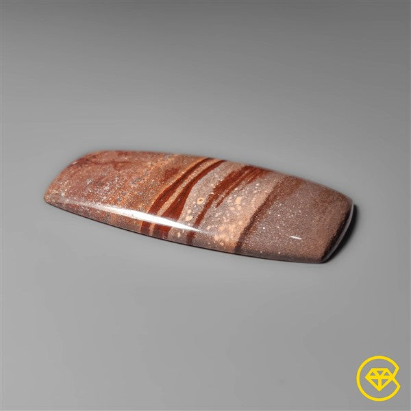 Gila Monster Agate