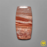 Gila Monster Agate