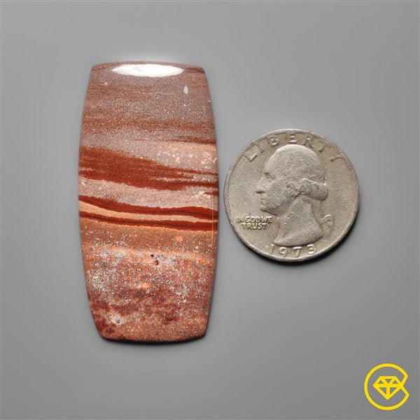 Gila Monster Agate