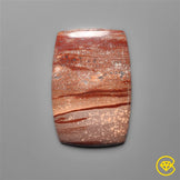 Gila Monster Agate