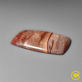 Gila Monster Agate