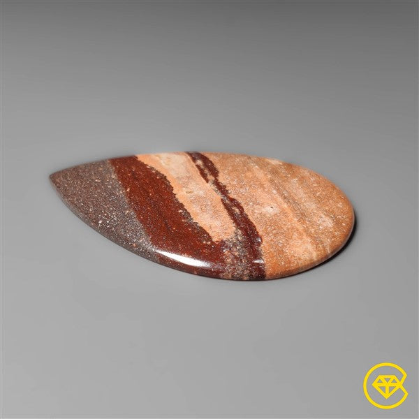 Gila Monster Agate