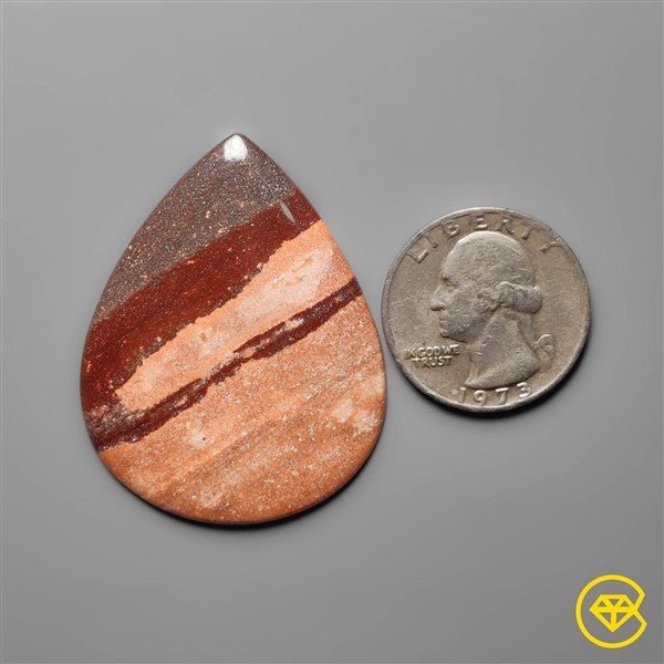 Gila Monster Agate
