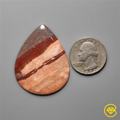 Gila Monster Agate
