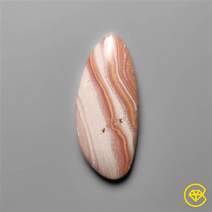 Gila Monster Agate