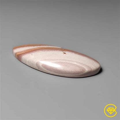 Gila Monster Agate