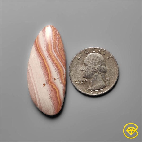 Gila Monster Agate