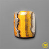 Bumble Bee Jasper