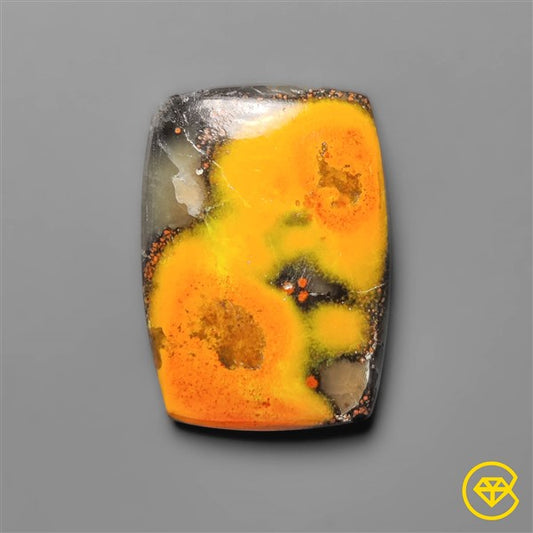 Bumble Bee Jasper