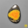 Bumble Bee Jasper