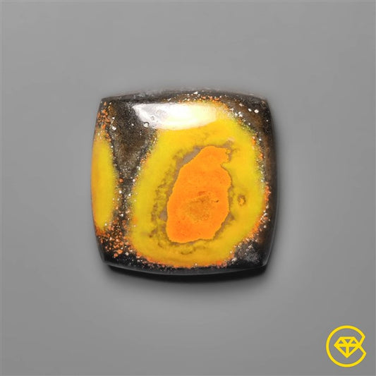 Bumble Bee Jasper