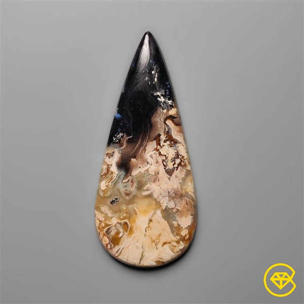 Palmroot Agate