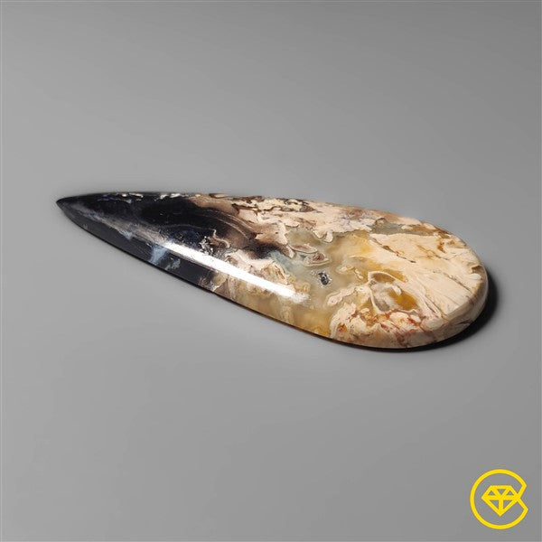 Palmroot Agate