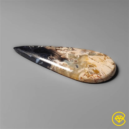 Palmroot Agate