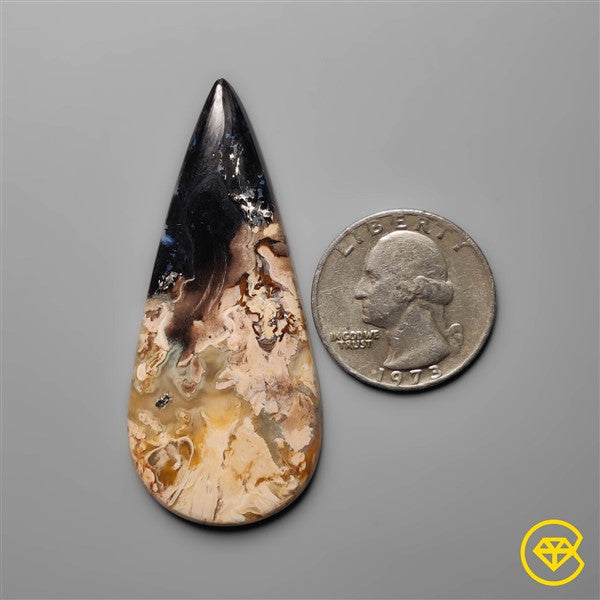 Palmroot Agate