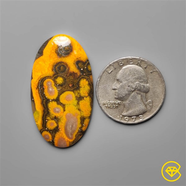 Bumble Bee Jasper