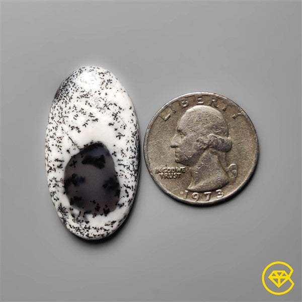 Dendritic Agate