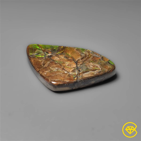 Ammolite