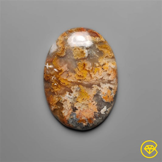 Plume Agate