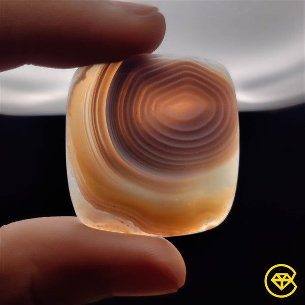 Botswana Agate