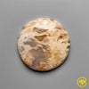 Plume Agate