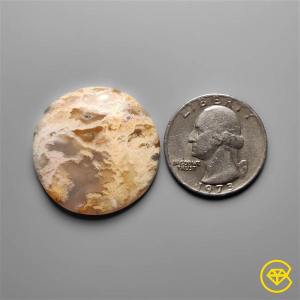 Plume Agate