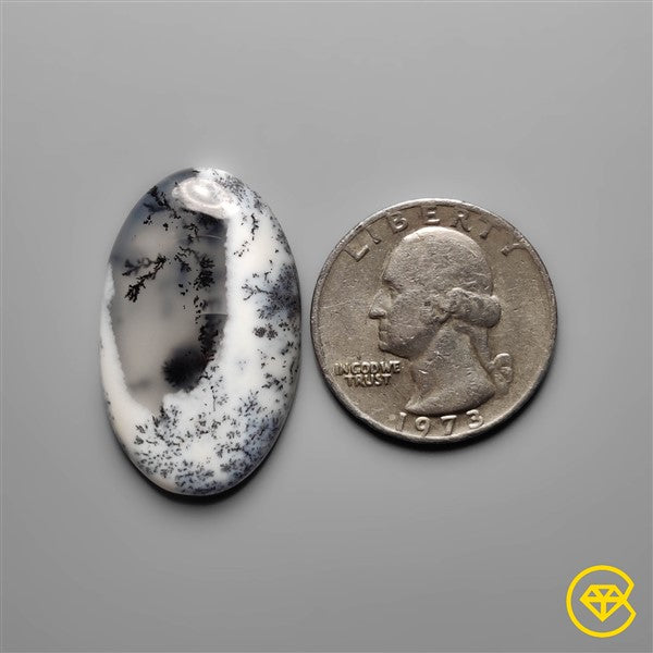 Dendritic Agate