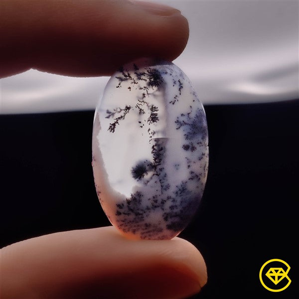 Dendritic Agate