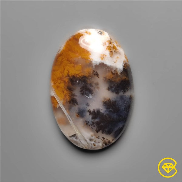 Dendritic Agate