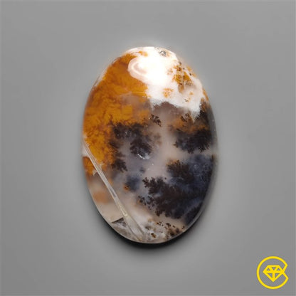 Dendritic Agate