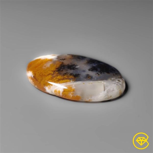 Dendritic Agate
