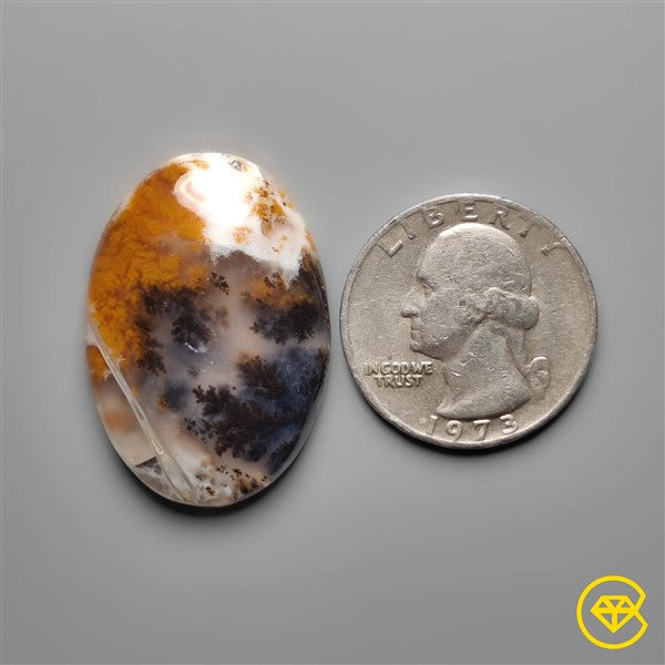 Dendritic Agate